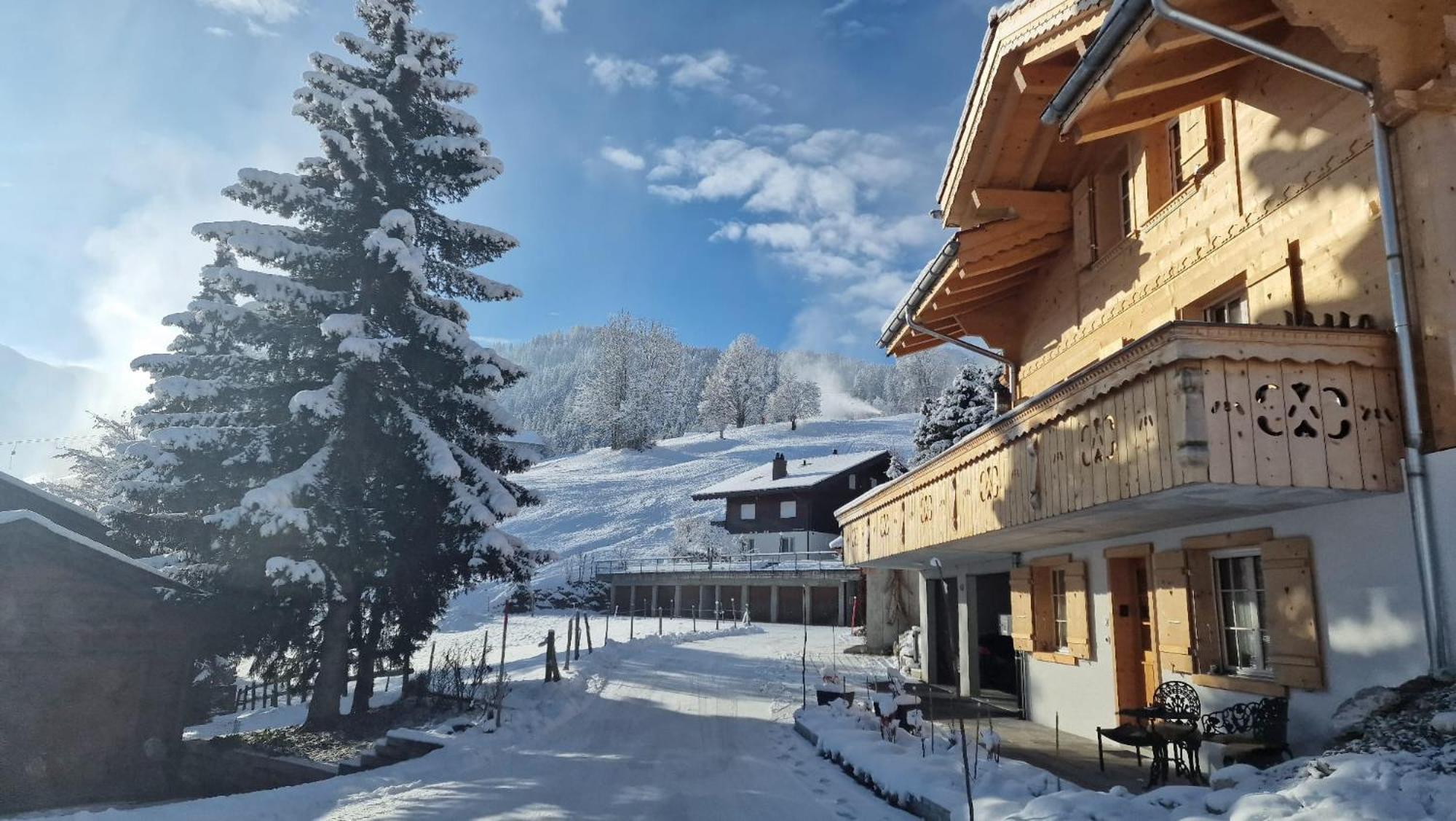 Large Deluxe Studio For 2 - Chalet Lovo Lenk Eksteriør billede
