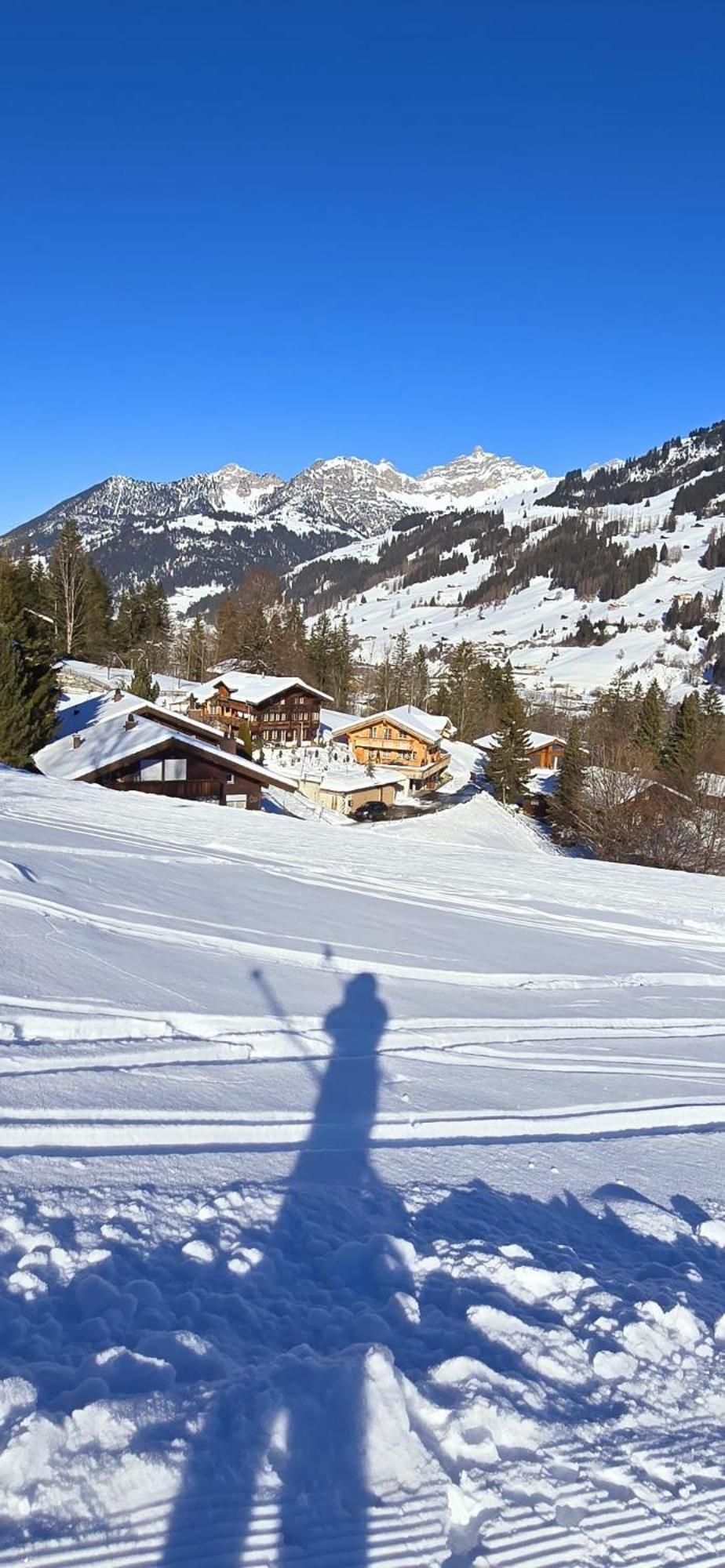 Large Deluxe Studio For 2 - Chalet Lovo Lenk Eksteriør billede