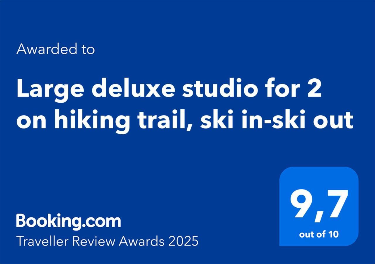 Large Deluxe Studio For 2 - Chalet Lovo Lenk Eksteriør billede